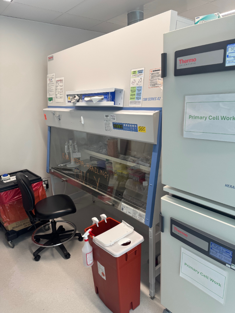 Image of Thermo 1300 Series A2 6' Biosafety Cabinet
